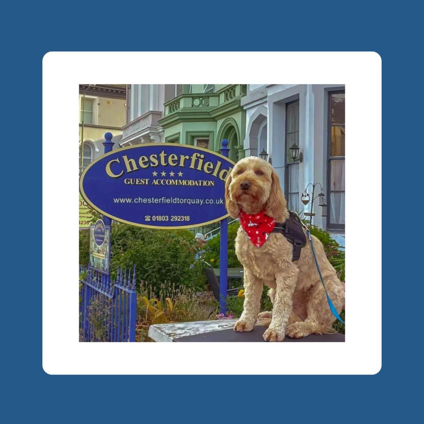 The Chesterfield, Torquay (Adults Only) Esterno foto